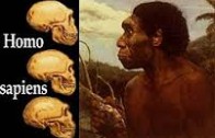 Telmo Pievani: Homo Sapiens