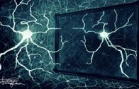 Corrado Sinigaglia: Il cervello che agisce e i neuroni a specchio