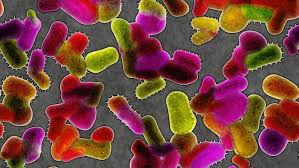 Jenny Rohn: Bacteria and Antibiotics: Revenge of the Microbes